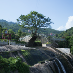 奥陶纪公园